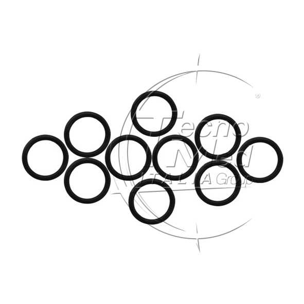 OR3B - O-ring per rotore BIENAIR Ondine anteriore (quant. multipli di 10 pezzi)