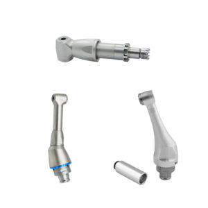 Endodonzia - Testine